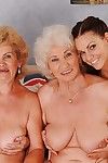 Dirty-minded teenage lesbians pull off foursome posing instalment just about forsaken grannies