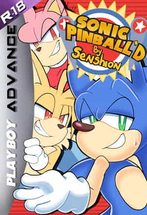 Senshion Sonic Pinballd!
